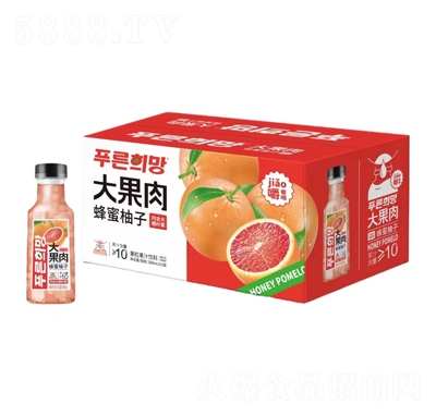 永春大果肉蜂蜜柚子果粒果汁飲料500mlX15瓶