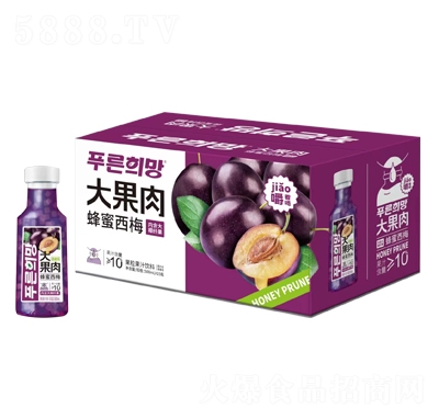 永春大果肉蜂蜜西梅果粒果汁飲料500mlX15瓶
