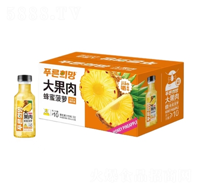 永春大果肉蜂蜜菠蘿果粒果汁飲料500mlX15瓶