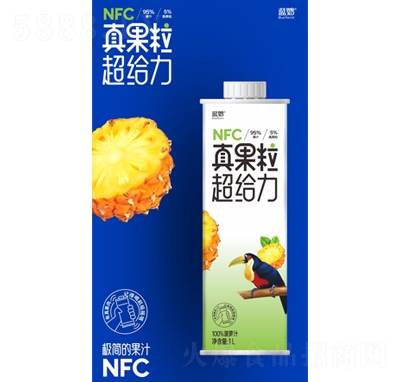 藍(lán)鸚100%菠蘿汁1L