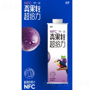 藍(lán)鸚100%葡萄汁1L