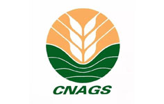 中國糧食行業(yè)協(xié)會